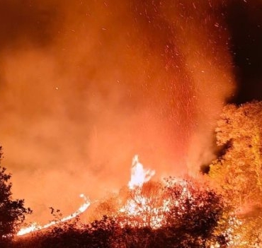 Besni’de 4 Farklı Noktada Yangın