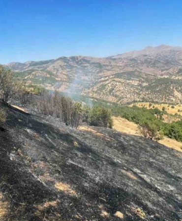 Diyarbakır’da Üç Farklı Noktada Çıkan Yangınlar Kontrol Altına Alındı