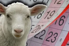 Kurban Bayramı Ne Zaman 2025? Tatil Kaç Gün Sürecek?