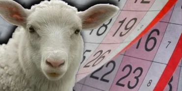 Kurban Bayramı Ne Zaman 2025? Tatil Kaç Gün Sürecek?