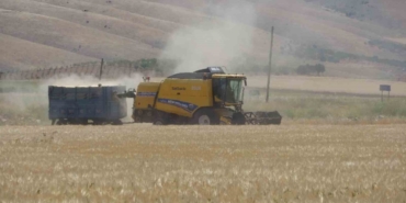 Adıyaman’da Hububat Hasadı Arpa İle Başladı
