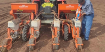 Araban Ovası’nda Pamuk Ekimine Başlandı