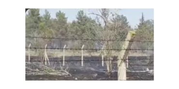 Atatürk Barajında Korkutan Yangın