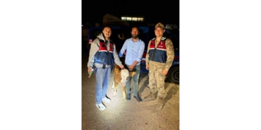 Çalınan 4 Büyükbaş Hayvan Sahibine Teslim Edildi