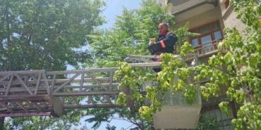 Malatya’da Metruk Evin Penceresine Sıkışan Kedi İtfaiye Tarafından Kurtarıldı
