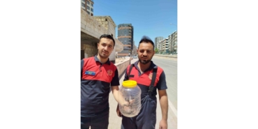 Mutfakta Görülen Yılan, Paniğe Neden Oldu