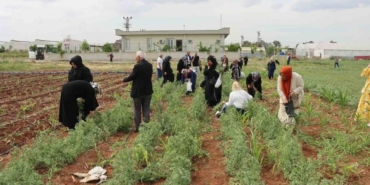 Şanlıurfa’da Emekli Kadınlara "süs Bitkisi Yetiştiriciliği Eğitimi"