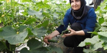 Seracı Kadınlar Günlük 500 Kilo Ürün Alıyor