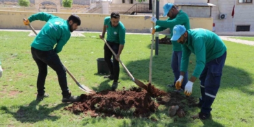 Yeşil Alan Çalışmalarıyla Yaşamın Kalitesi Arttırılıyor
