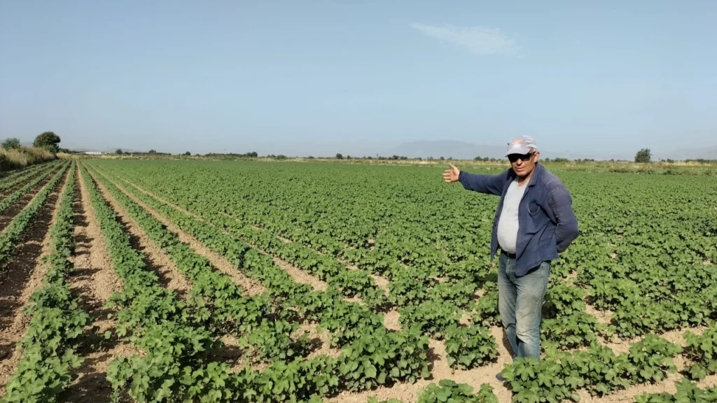 Araban Ovası’nda Pamuk Ekimi Başladı