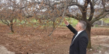 verilecek Destekler Sadece Kayısıyı Değil, Şehrimizin Geleceğini İlgilendiriyor