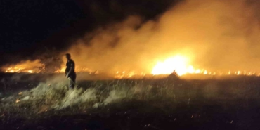 25 Kayısı Ağacı Zarar Gördü