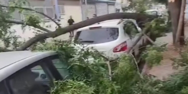 Ağaçlar Devrildi, Araçlar Zarar Gördü, Toz Bulutu Etrafı Kapladı