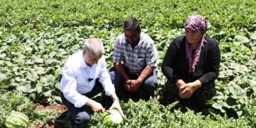 Başkan Tahmazoğlu, Tarlada Patlıcan Ve Biber Hasadına Katıldı