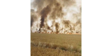 Biçerdöver Patozuna Giren Tel Yangına Neden Oldu, Biçilmemiş Buğday Kül