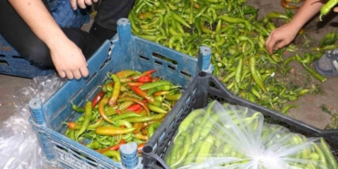 Diyarbakır’da Sıcak Hava Sebze Ve Meyveleri Etkiledi