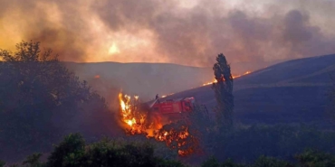 Diyarbakır’daki Anız Ve Orman Yangınları Söndürüldü