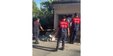 Eve Giren Yılan Korkuttu