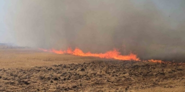 Gaziantep’teki Çıkan Anız Yangını Fabrikaları Tehdit Etti