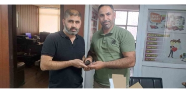 Yaralı Halde Bulunan Ebabil Kuşu Doğa Koruma Ekiplerine Teslim Edildi