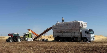 45 Derece Hissedilen Sıcak Havada Saman Yüklüyorlar