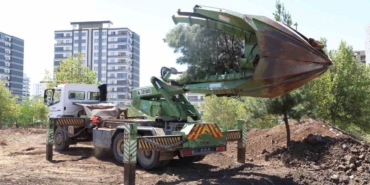 Ağaçlar Zarar Verilmeden Ormanlık Alana Taşındı