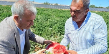 Araban’da Karpuz Hasadı Başladı