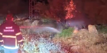 Besni’de 600 Dönümlük Ormanlık Alan Küle Döndü