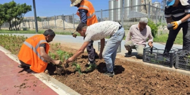 Eyyübiye’nin Çiçekleri Eyyübiye Serakent’ten