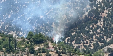 Gölbaşı’nda Ormanlık Alan Yandı