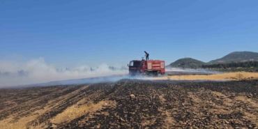 İslahiye’de 150 Dönüm Arazi Kül Oldu