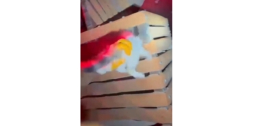 İtfaiyeden Gece Yarısı Kedi Kurtarma Operasyonu