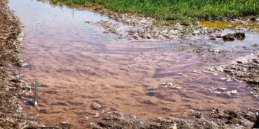 Şanlıurfa’da Tarımsal Su Krizi Derinleşiyor