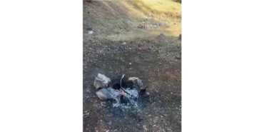 Sorumsuzluk Yine Az Kalsın Felaket Getiriyordu