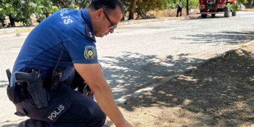 Yanmak Üzere Olan Kaplumbağayı Polis Son Anda Kurtardı