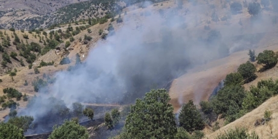 Pütürge’de Orman Yangını