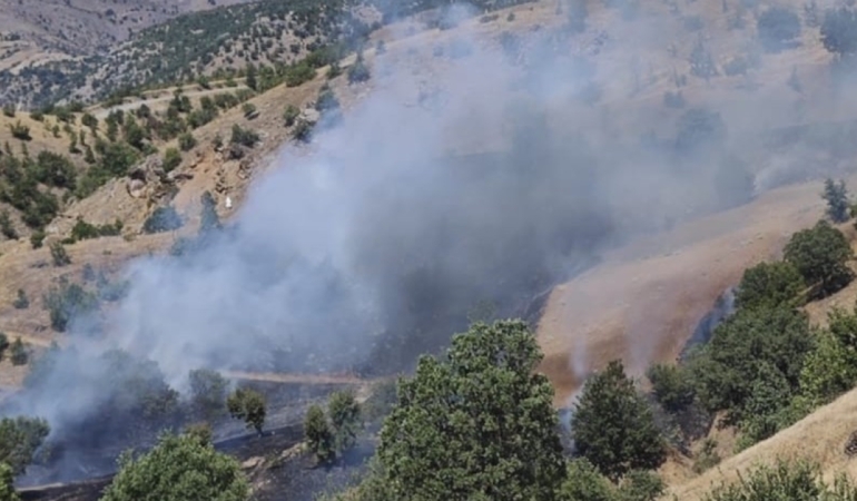 Pütürge’de Orman Yangını