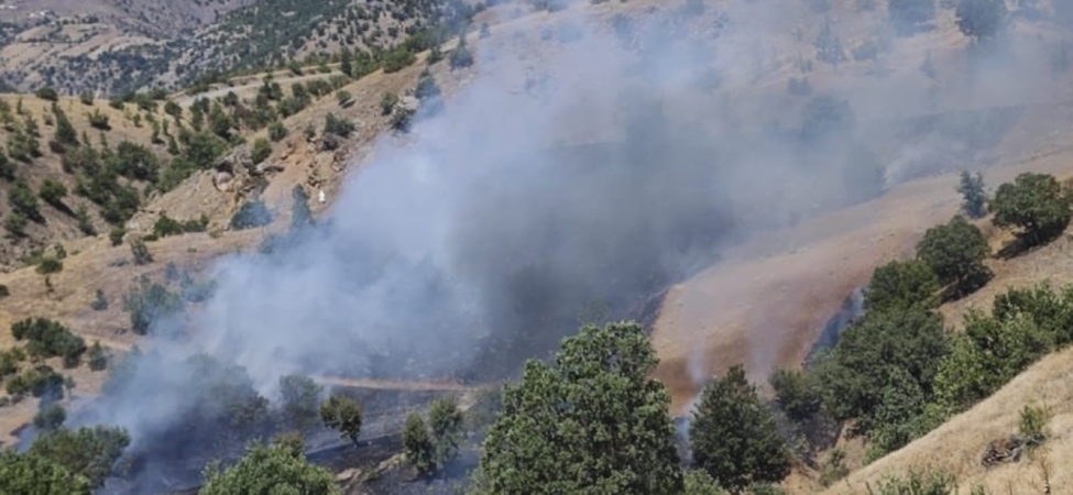 Pütürge’de Orman Yangını