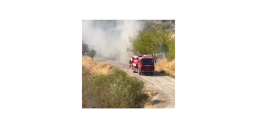 Kömür Beldesinde Korkutan Yangın