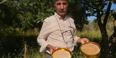 Malatya’da Bal Hasadı Başladı