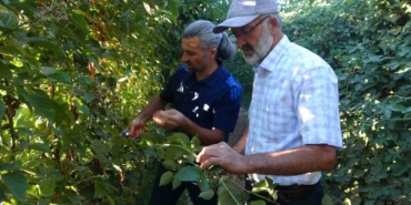 Malatya’da Bitkisel Üretim Çeşitliliğinde Üzümsü Meyvelerin Üretimi Yaygınlaşıyor