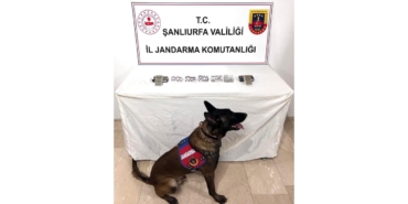 Şanlıurfa’da Uyuşturucu Madde Ele Geçirildi
