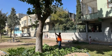Eyyübiye’deki Parklarda Sonbahar Bakımı