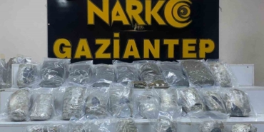 Gaziantep’te 13 Kilo Skunk Ele Geçirildi