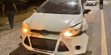 Malatya’da Otomobilin Çarptığı Domuz Telef Oldu