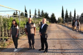 Vali Varol, Orman Fidanlığında İncelemelerde Bulundu