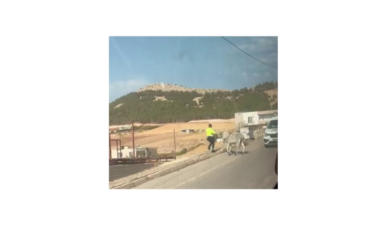 Kazaya Davetiye Çıkaran Eşeğe Polis Müdahale Etti