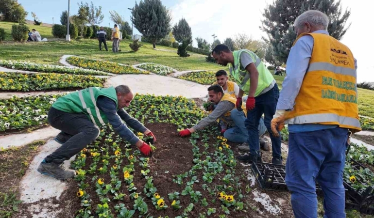 Şanlıurfa’da 400 Bin Çiçek Toprakla Buluşuyor