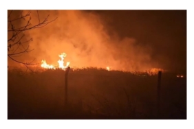 Sülüklü Göl’de Kamışlar Alev Aldı