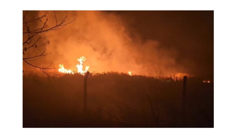 Sülüklü Göl’de Kamışlar Alev Aldı